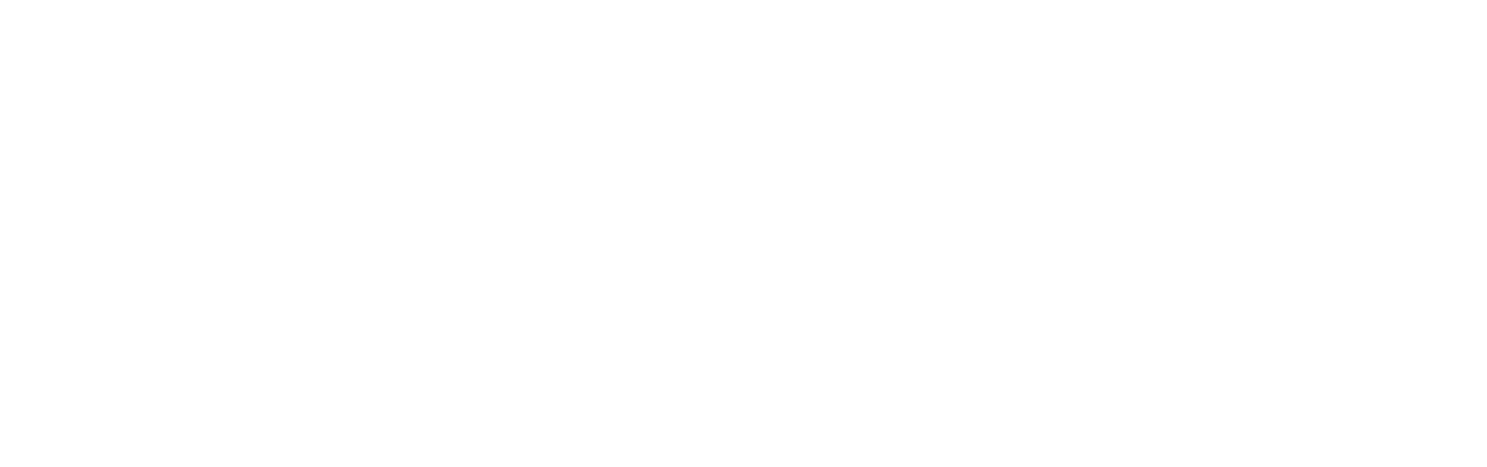 Central Texas Women's Lacrosse Officials Organization logo